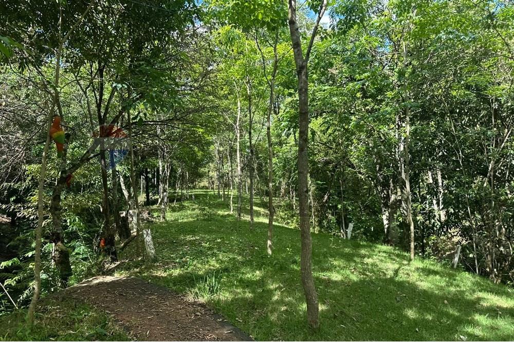 Estancia en venta Alto Paraná Tavapy — foto 2
