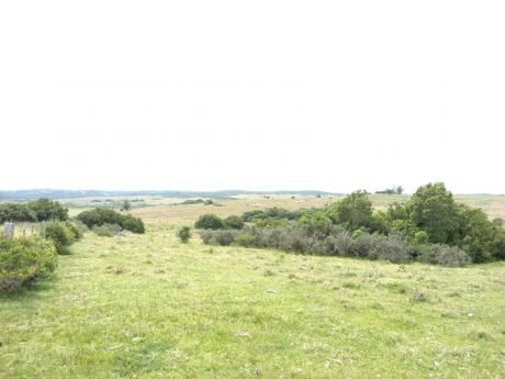 Campo De 22 Ha En Pueblo Garzon