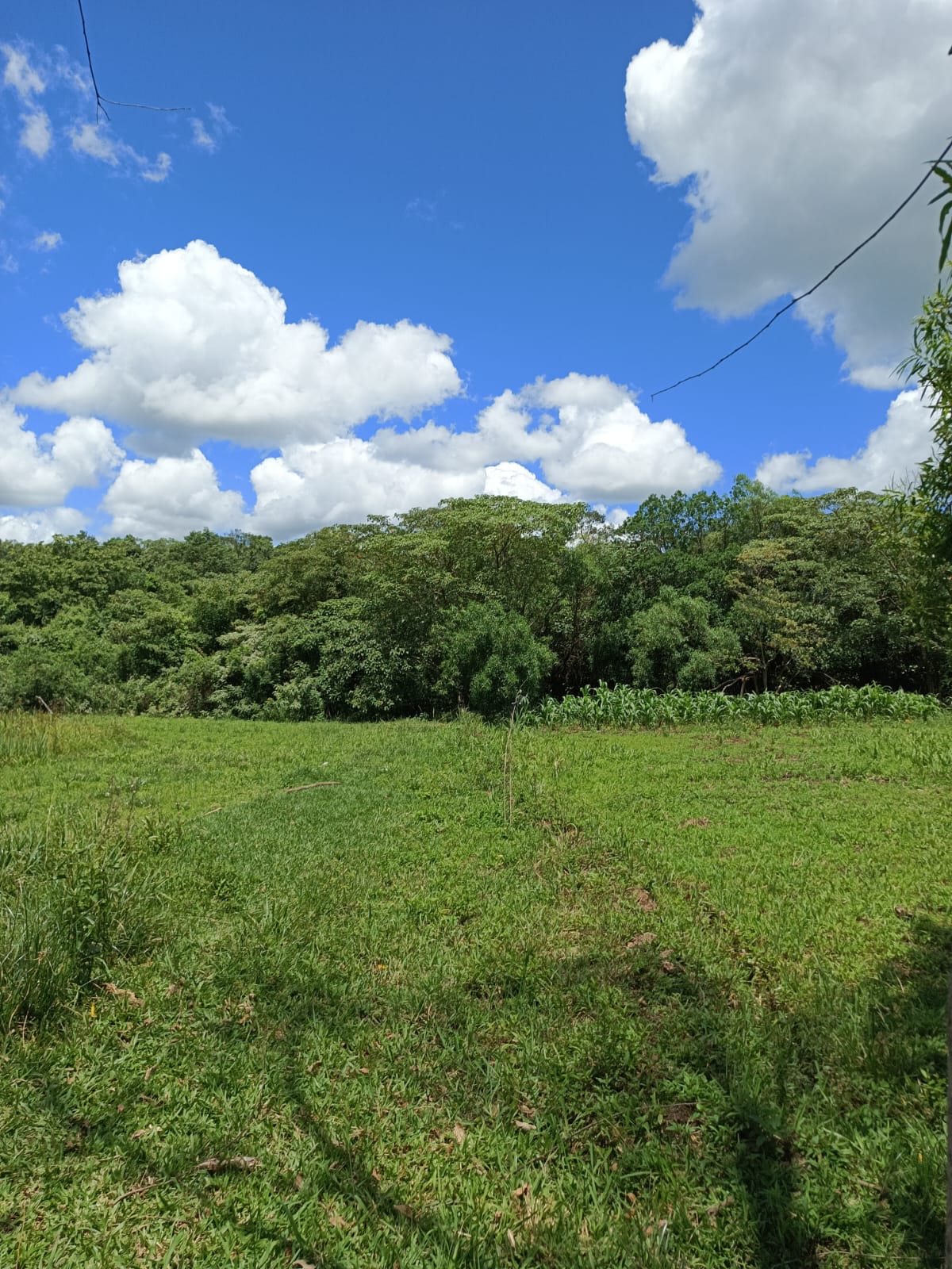 VENDO FABULOSAS HECTÁREAS SOBRE TERRAPLEN DE TODO TIEMPO EN PARAGUARI — foto 3