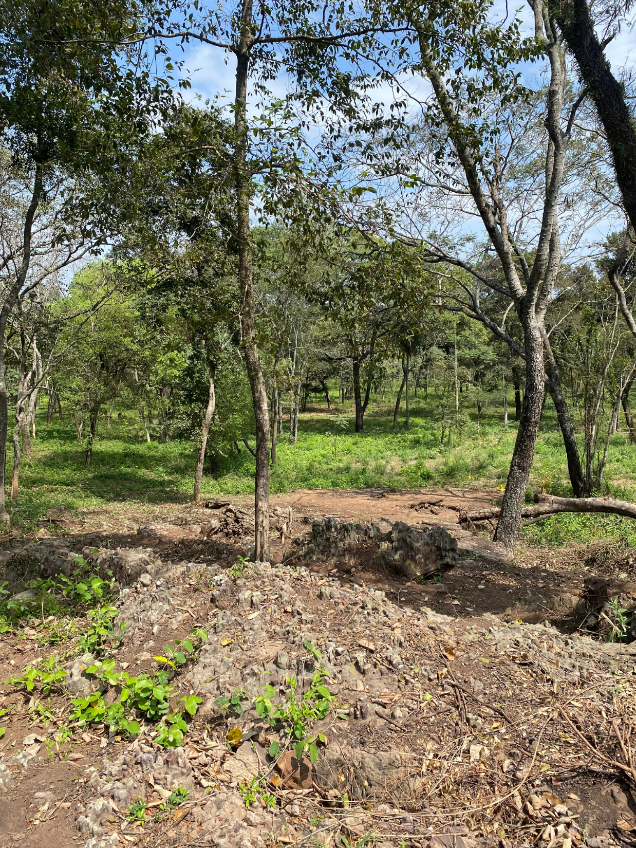SAN BERNARDINO ZONA ANFITEATRO TERRENO DE 1020M2 EN VENTA — foto 2