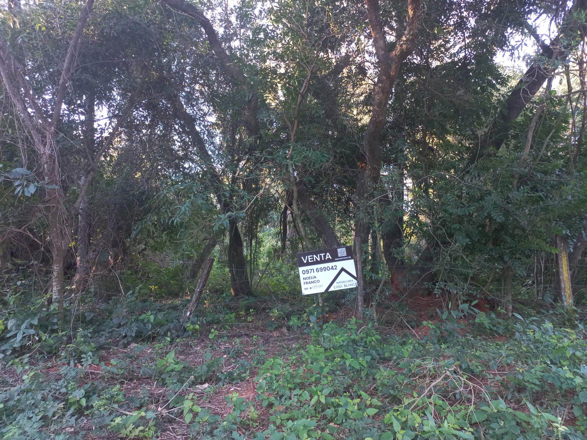 Venta Terreno en Aregua, A 1,7 km del Centro — foto 3
