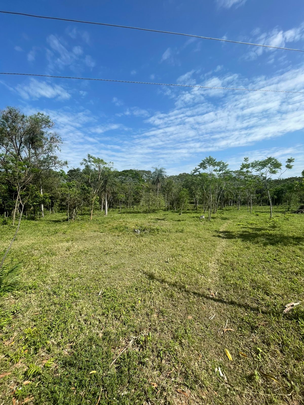 Vendo 7 hectáreas en Arroyos y Esteros A 600m de Ruta 3 — foto 3