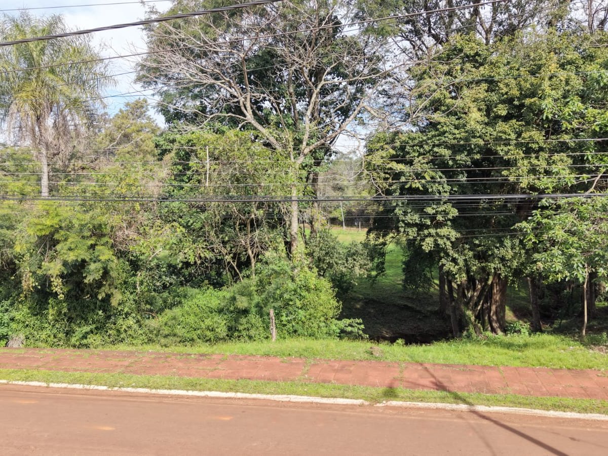 EN VENTA – TERRENO EN ESQUINA SOBRE AVDA. LOS FUNDADORES, HOHENAU — foto 2