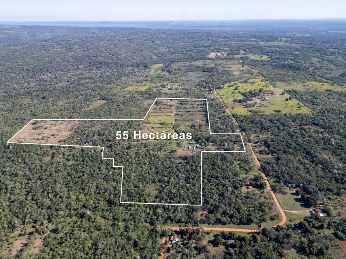 EN VENTA 55 HECTÁREAS EN LA CIUDAD DE EMBOSCADA — foto 2