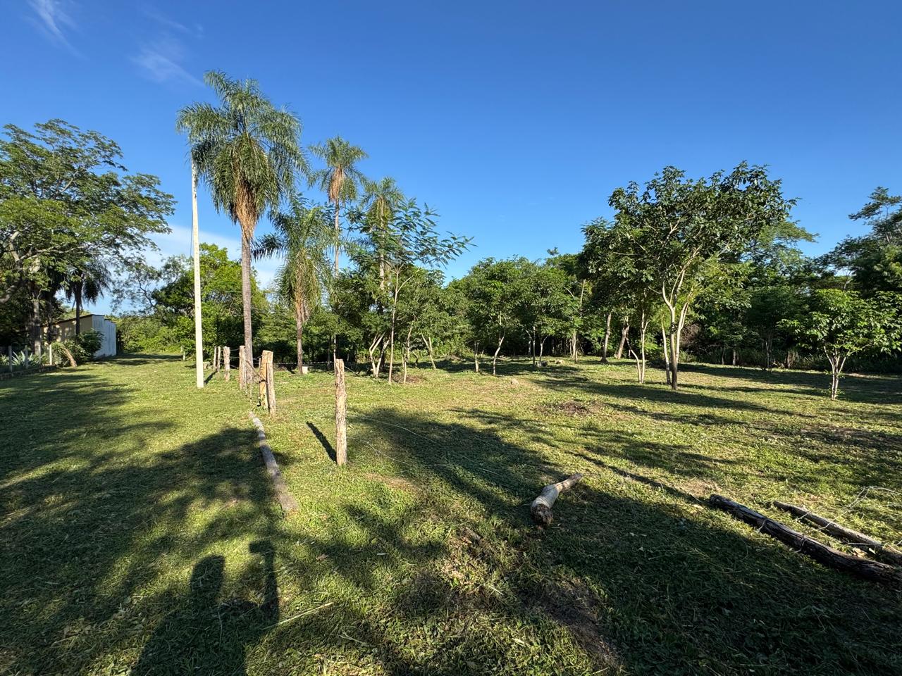 VENDO 2 TERRENOS EN SAN BERNARDINO (juntos o separados) — foto 3