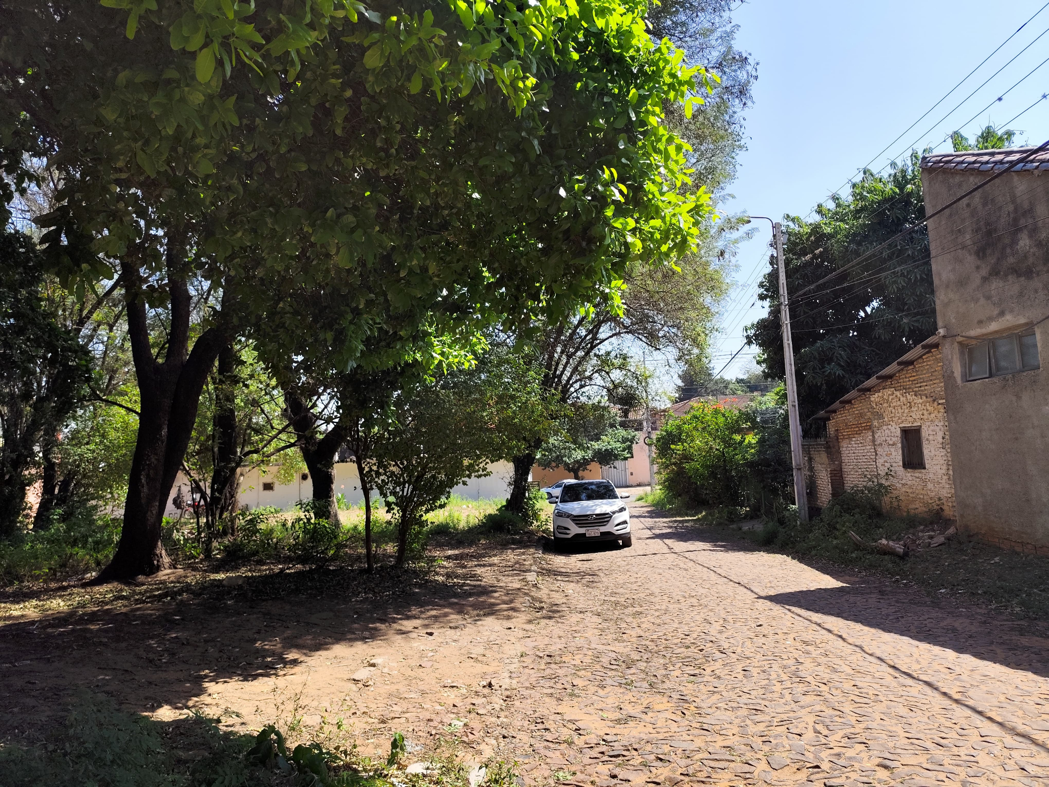 Terreno de 388m² a 30mts de Av. Avelino Martínez — foto 3