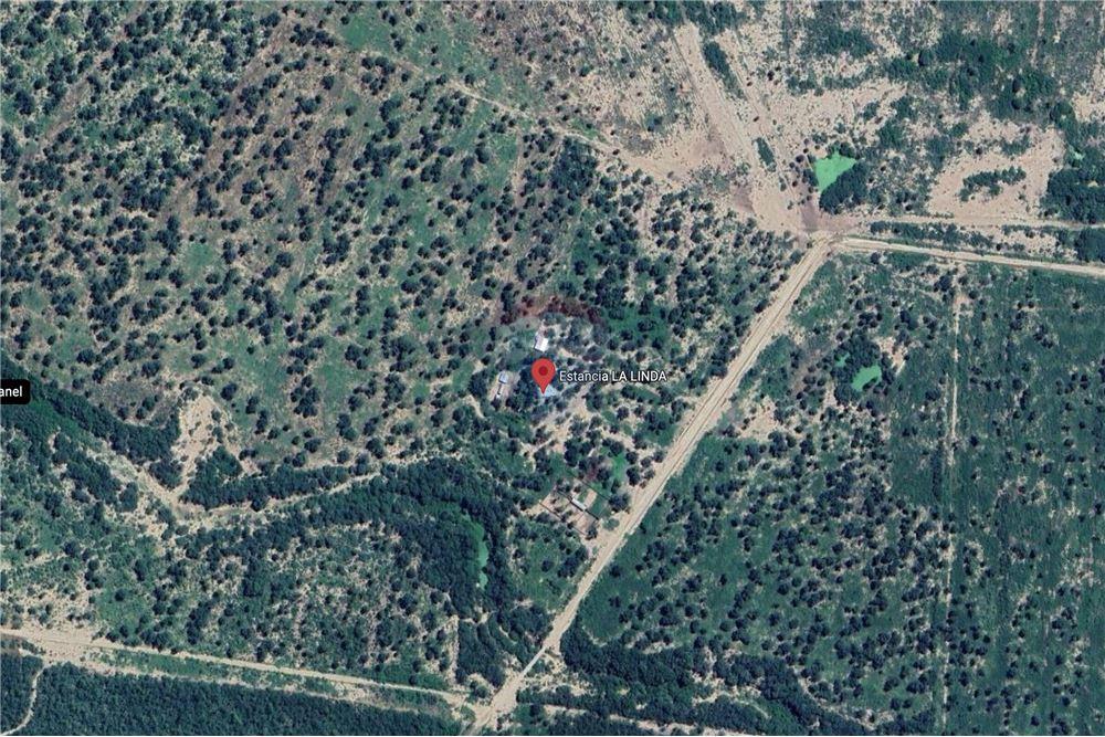 Estancia/Campo - Venta - Mariscal José Felix Estigarribia, Paraguay — foto 2