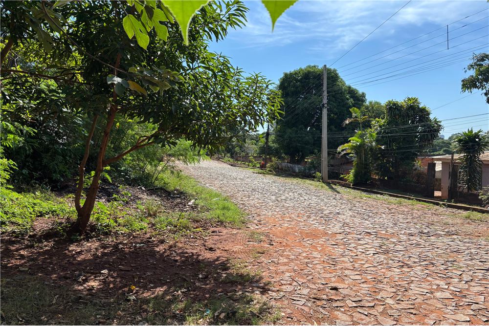 VENDO 2 LOTES JUNTOS EN PRESIDENTE FRANCO — foto 3