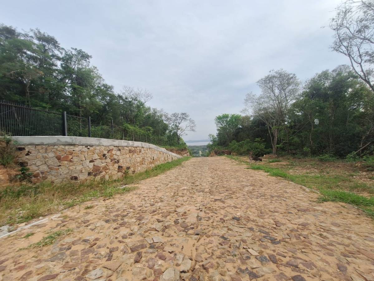 Vendo Hectáreas en Ciervo Cua con Vista Plena al Lago — foto 2