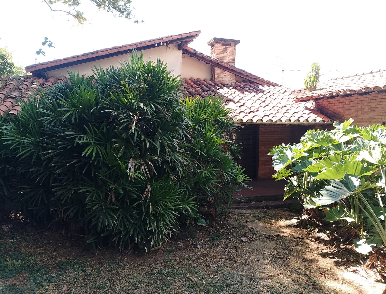 Alquilo Casa para comercios en Asunción Villa Morra — foto 2
