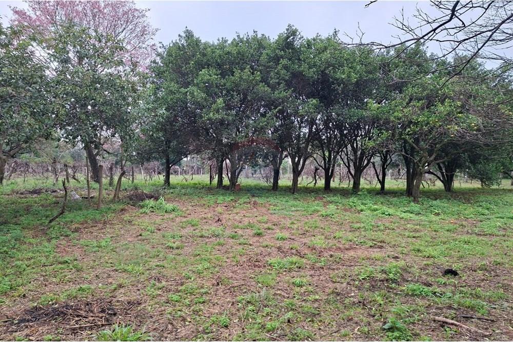 Vendo Amplio Terreno en San Bernardino — foto 3