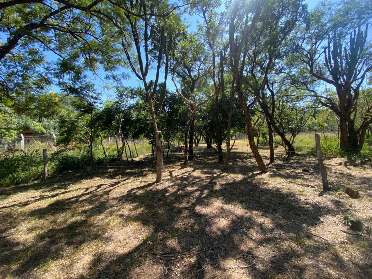 EN VENTA TERRENO EN SAN BERNARDINO CIERVO CUA — foto 2