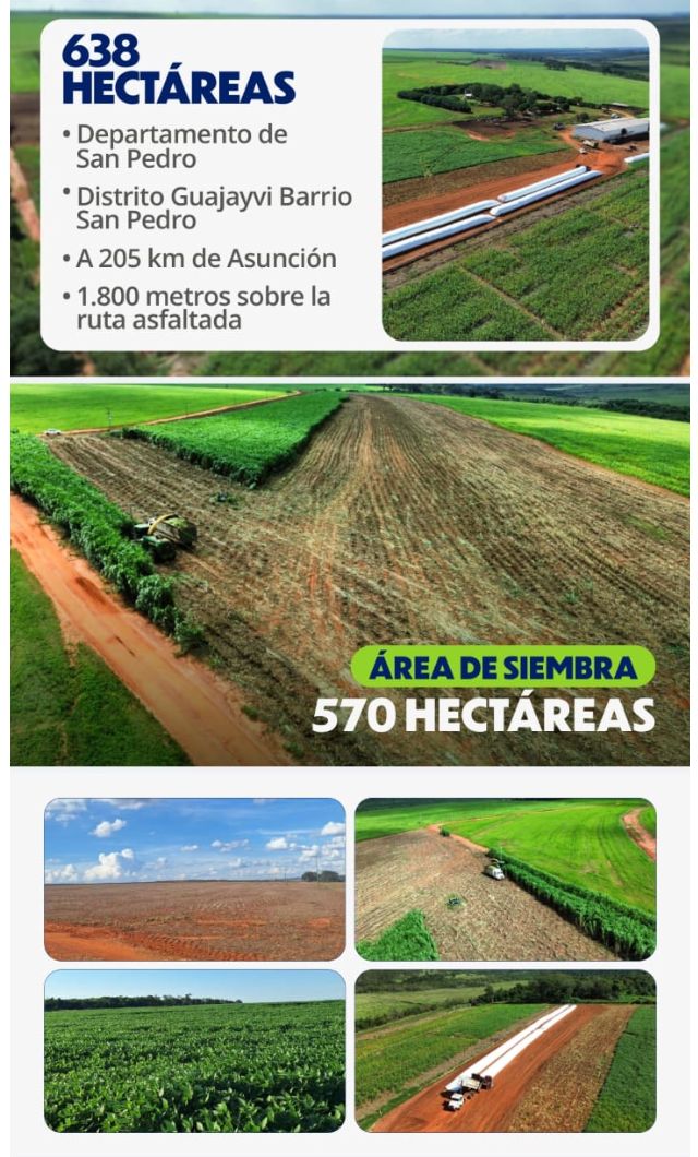 Vendo Propiedad Agrícola de 638 Hectáreas en San Pedro, Guajayvi - CLCS7597833 — foto 2