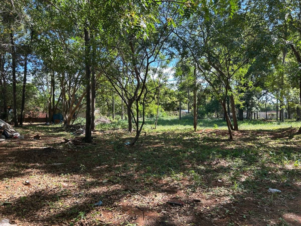 Mora Cue - Ruta Luque Limpio. 84.000 m2 sobre la avenida. Ideal para desarrollo inmobiliario — foto 2