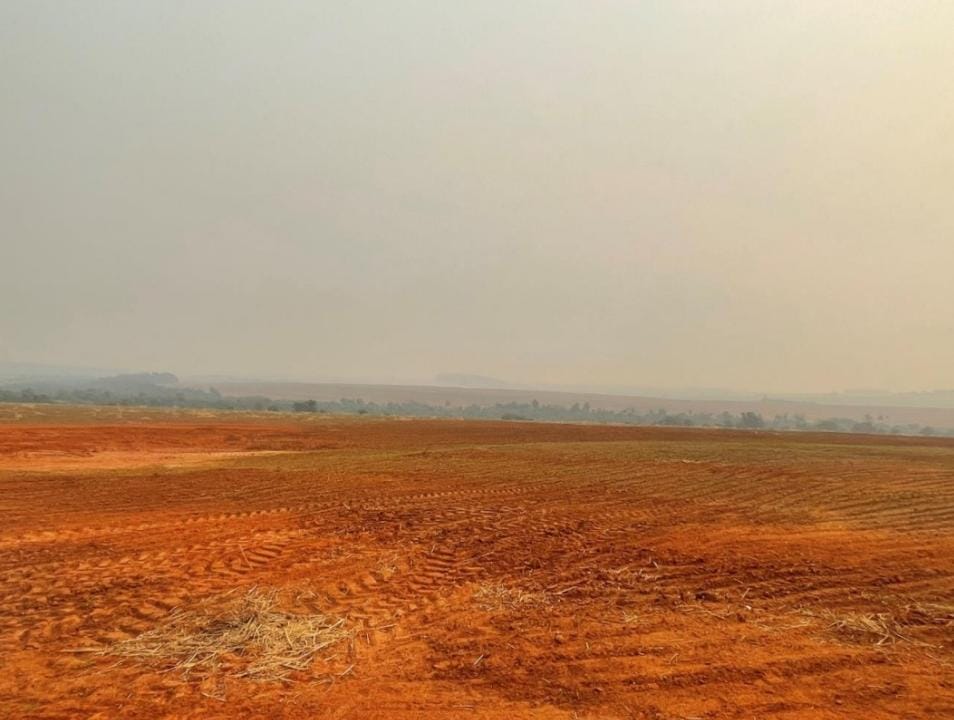 Vendo Campo De 1.223 Has En Santa Rita, Alto Paraná-clcs5176043 — foto 2