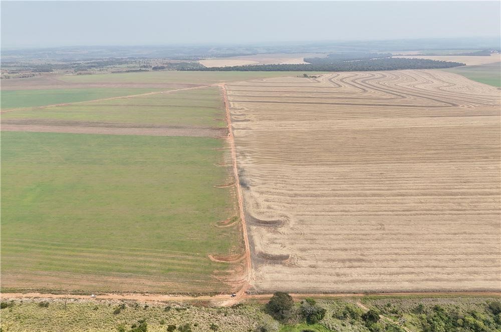 Gran Oportunidad En El Campo 1.030 Hectáreas San Pedro — foto 2