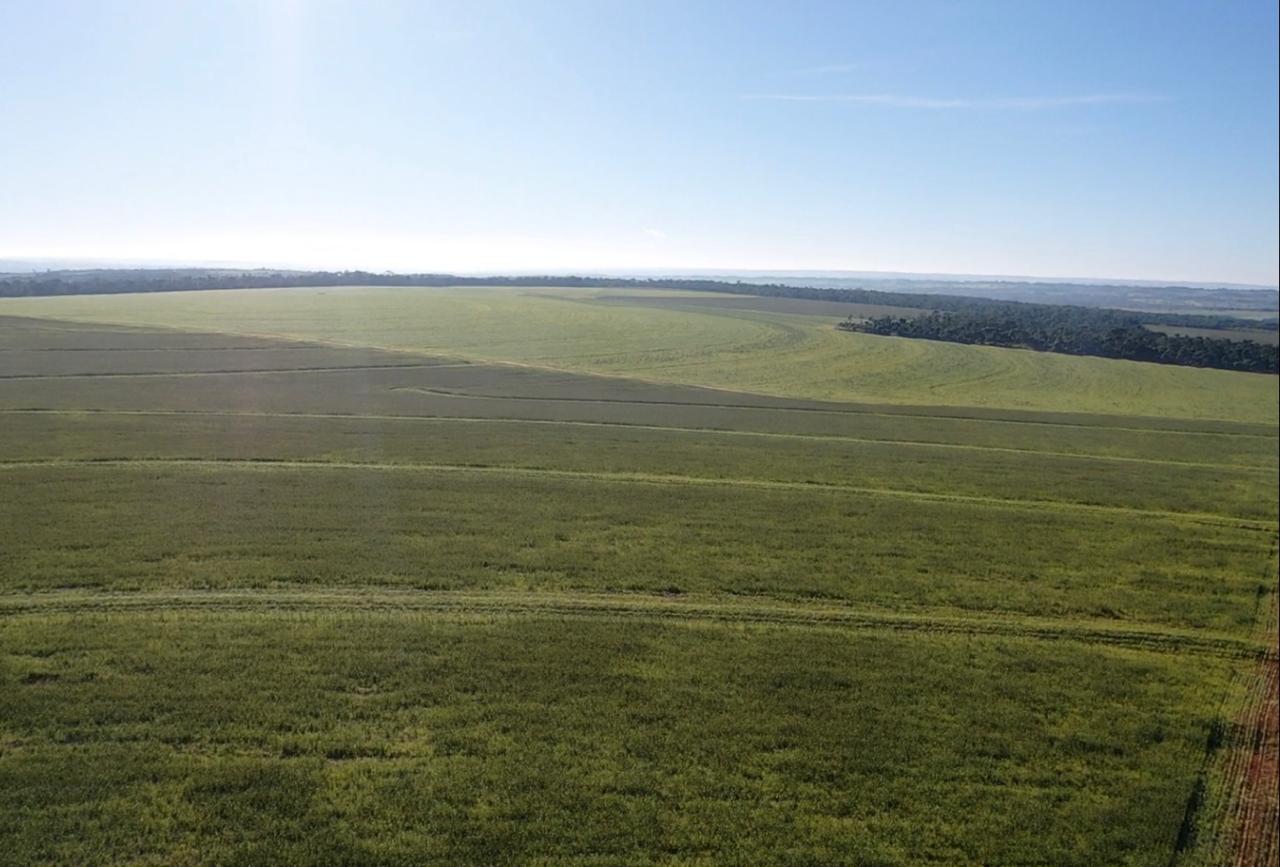 Vendo Propiedad Agrícola de 1.229 Hectáreas en Zona Santani - CLCS7187038 — foto 2