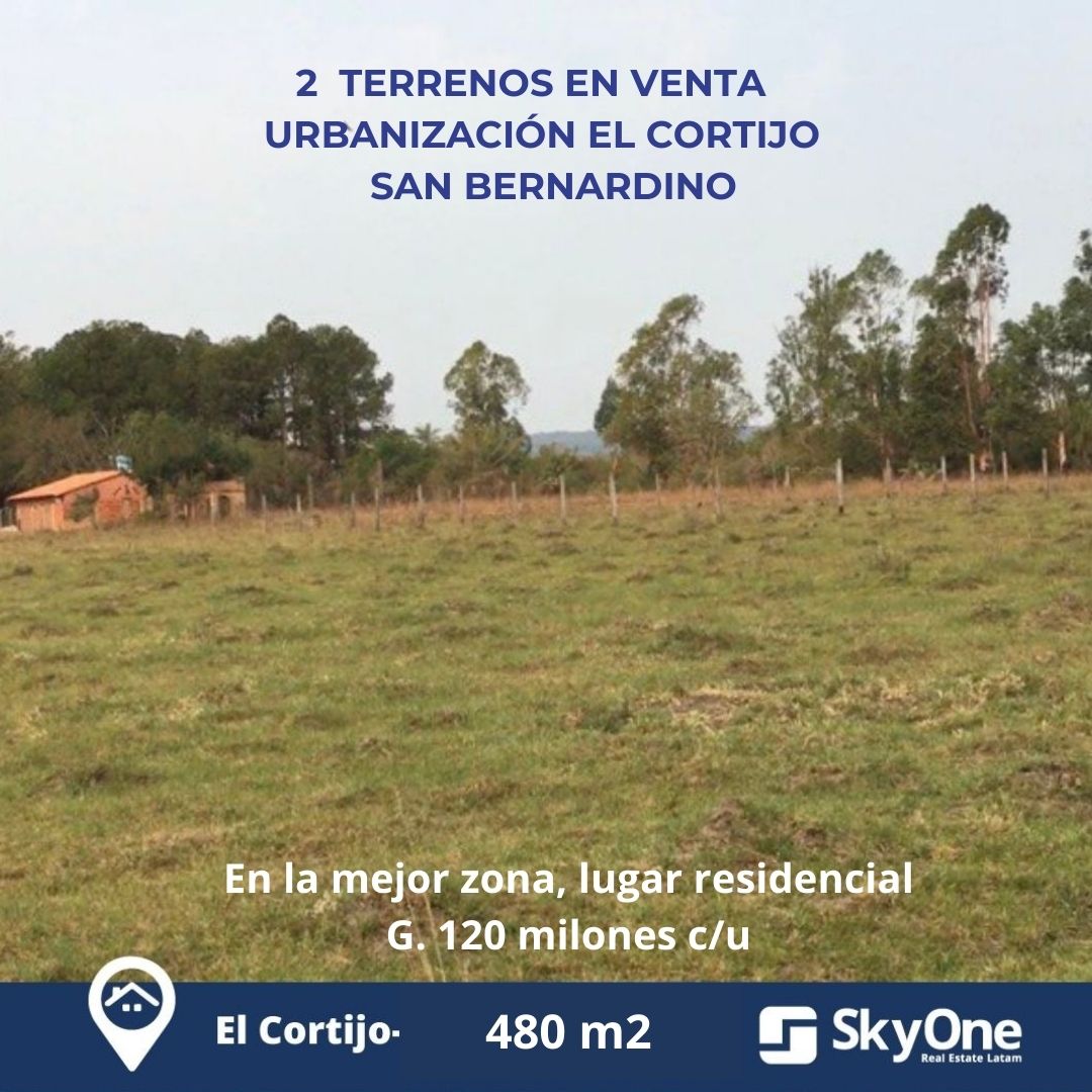 VENDO 2 TERRENOS en EL COTIJO ! SAN BER — foto 2
