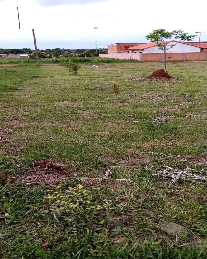 HERMOSO TERRENO NIVELADO - SAN IGNACIO -MISIONES — foto 2