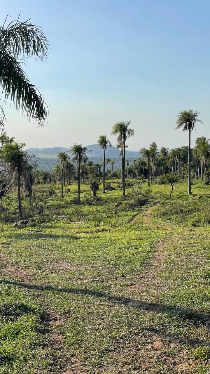 Vendo 20,3 hectáreas en Caacupe, Cordillera con naciente de agua y cerro — foto 2