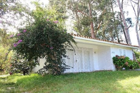Casa Principal Y Casa De Huéspedes En San Rafael.