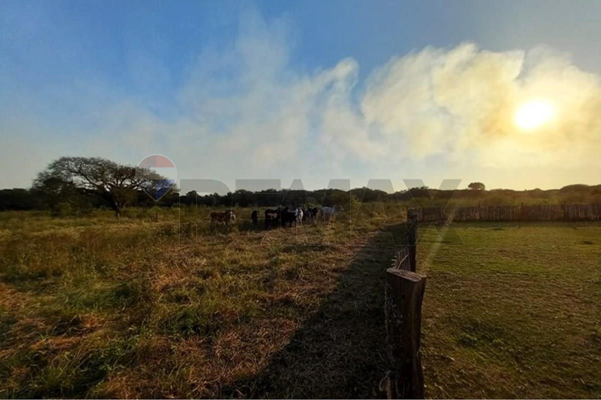 Estancia Ganadera en venta,  Benjamín Aceval, Presidente Hayes, Paraguay — foto 3