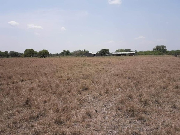VENDO ESTANCIA EN CARMELO PERALTA FUERTE OLIMPO — foto 2