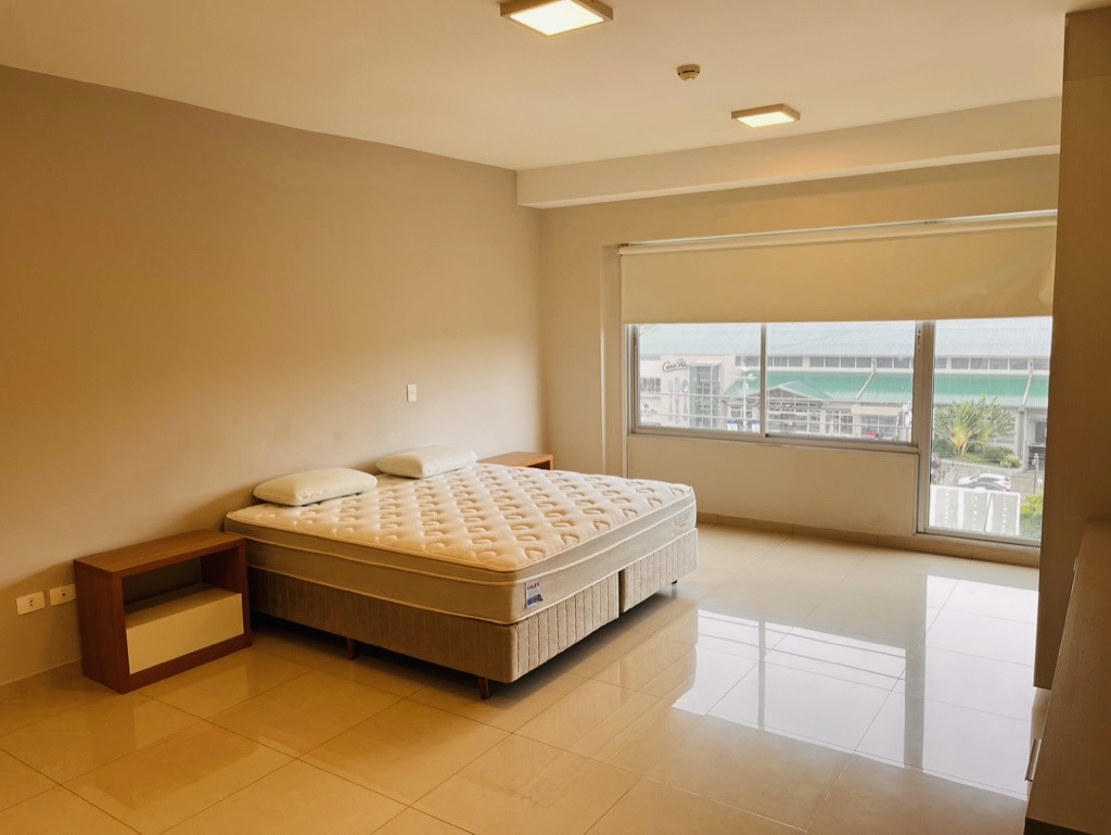 *alquiler  Amoblado - Moderno Ph De 3 Dormitorios (con Piscina Propia) — foto 3