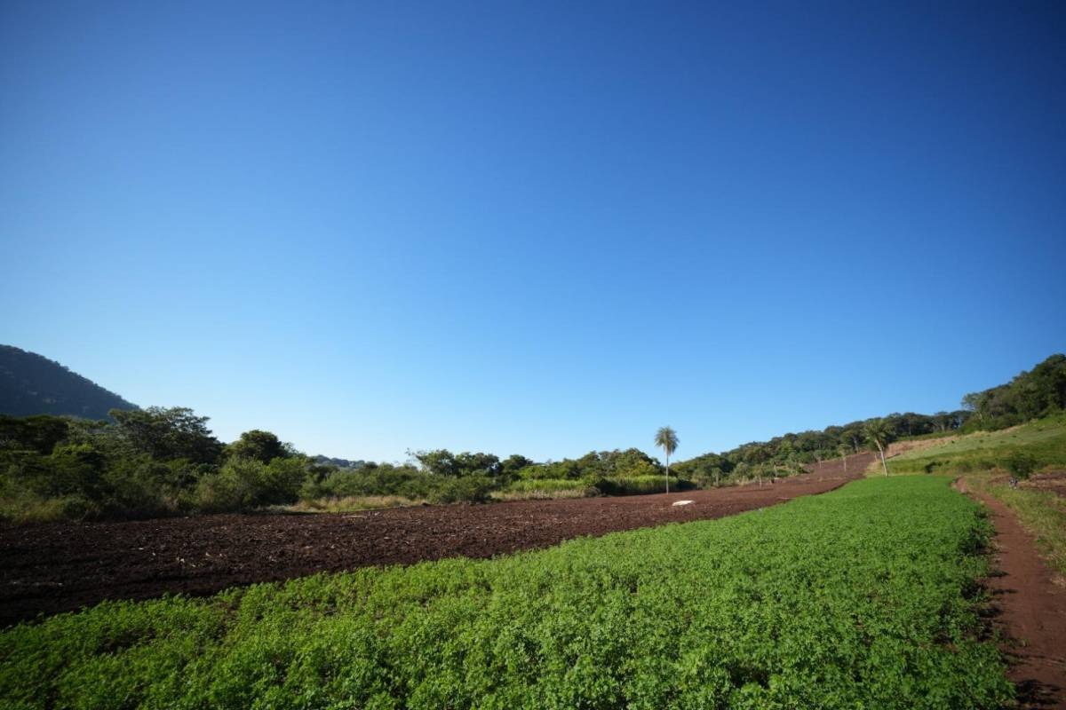 VENDO 20 HECTÁREAS EN CERRO CORA - SAPUCAI — foto 2