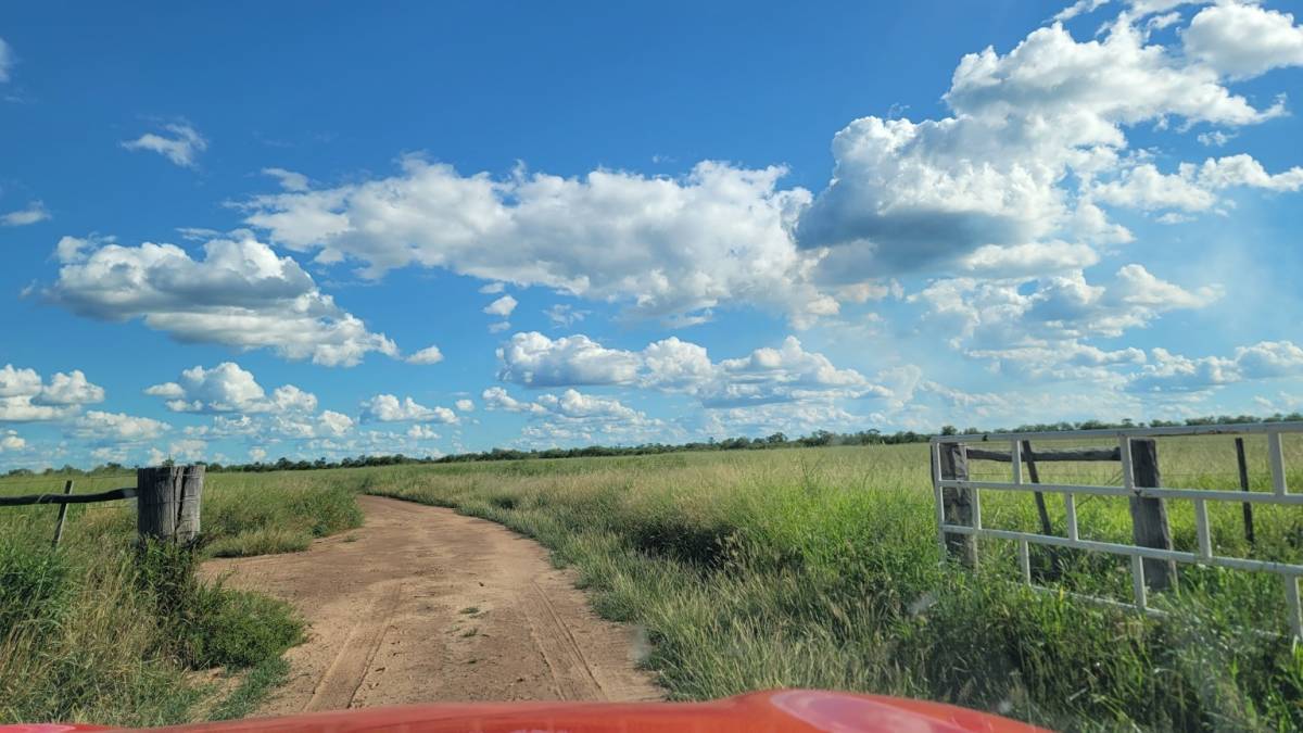 VENTA - Estancia Palo Santo 801 ha llave en mano - Irala Fernández, Pdte. Hayes — foto 2