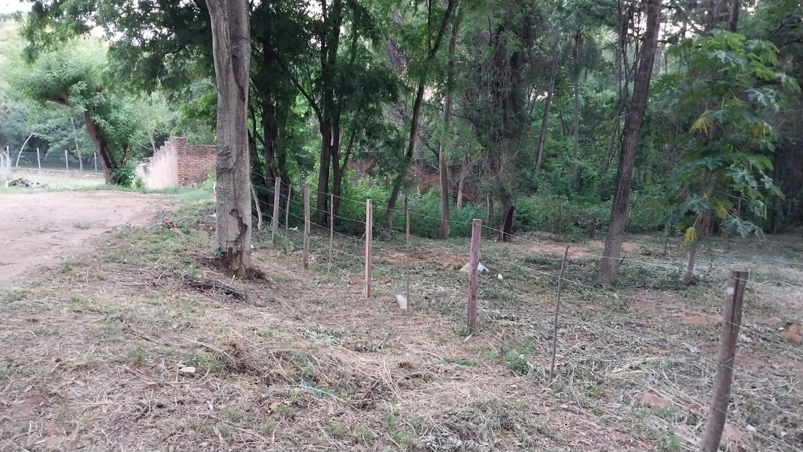 Terreno En Altura San Bernardino, Zona La Suiza — foto 2