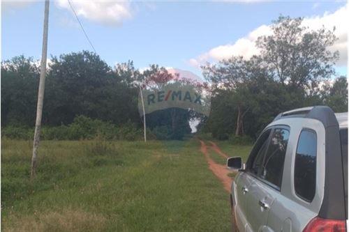 VENDO-TERRENO PARAGUARI FRACCION DIVINA ESPERANZA — foto 2
