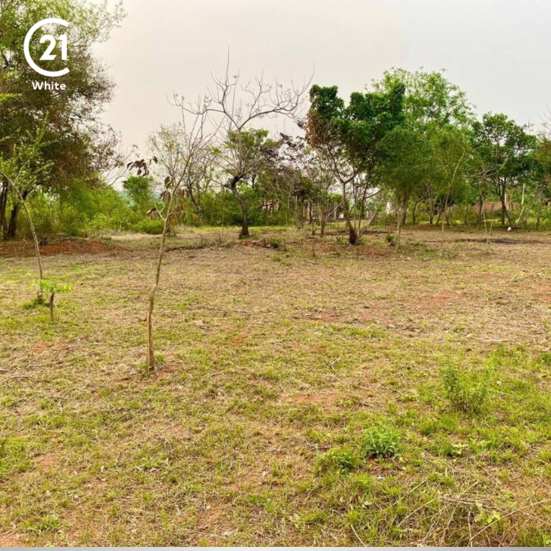 EN VENTA TERRENO EN CAACUPE — foto 2