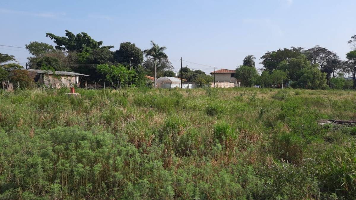 ALQUILO HERMOSO TERRENO EN VILLA ELISA — foto 2