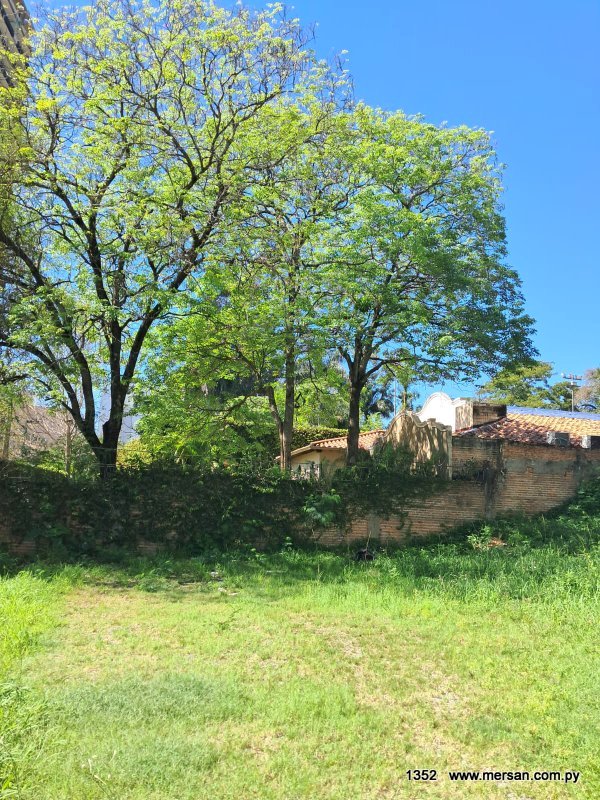 Alquilo Terreno En Esquina S/ Molas López Z/ Lomas Padel (CóD. 1352) — foto 3