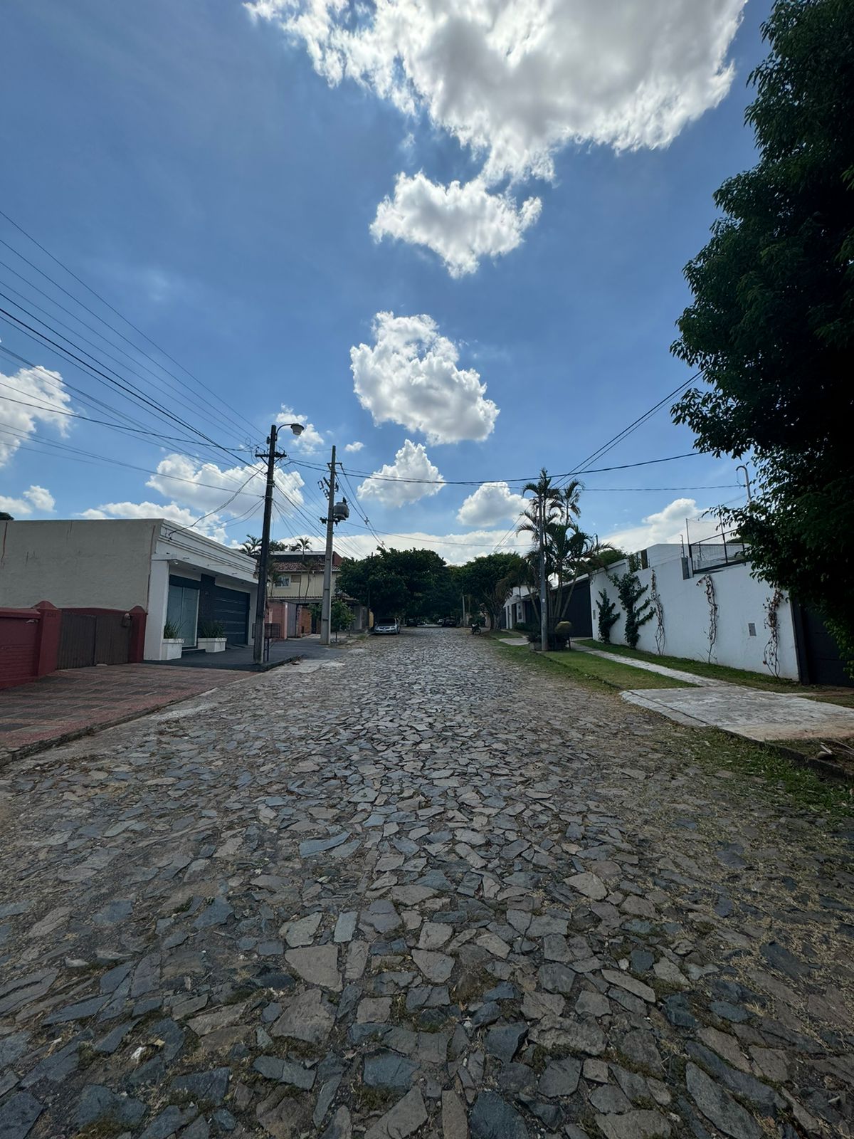 Vendo terreno en Barrio Herrera 14x33,5 m2 Superficie: 469 m2 — foto 2