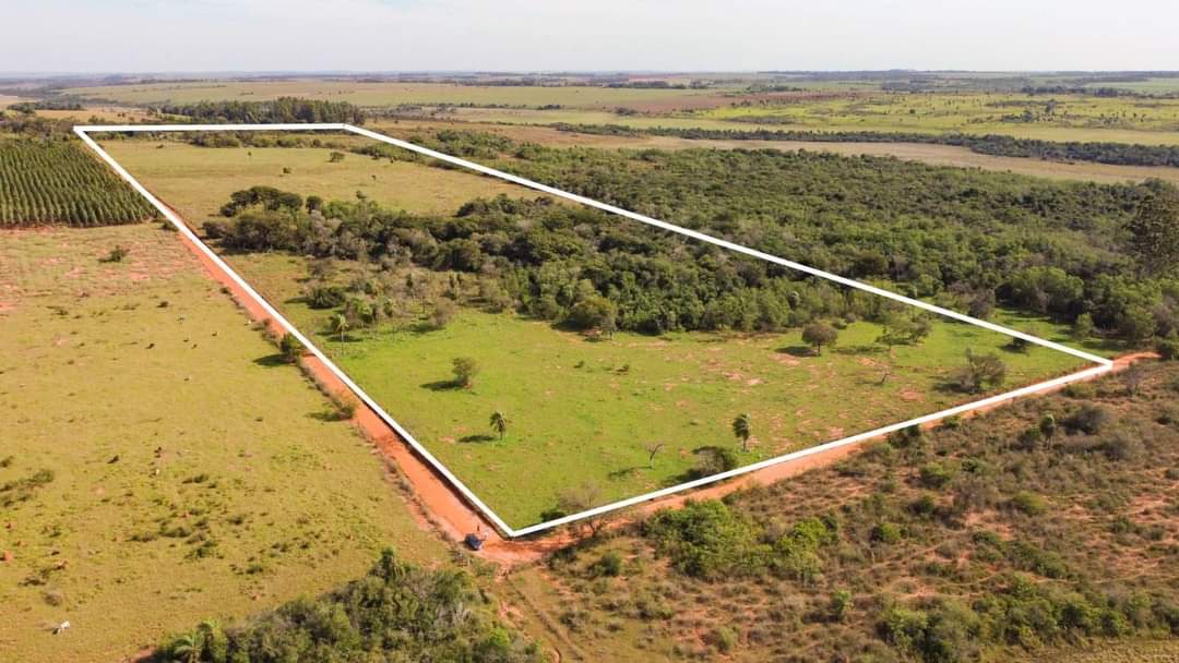 EN VENTA 20 HECTAREAS EN ITAKYRY - ALTO PARANÁ — foto 3