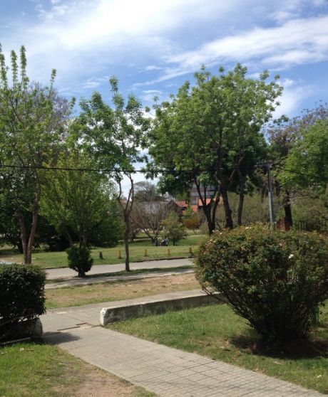 Local