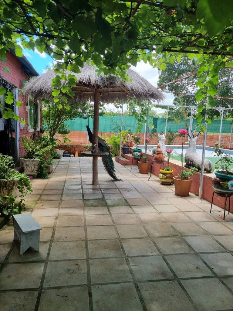 VENDO 3,5 HECTAREAS EN LUQUE — foto 2