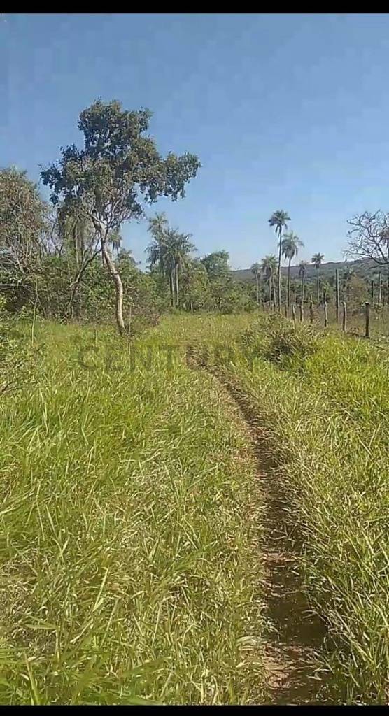 Terreno en venta en Piribebuy — foto 2