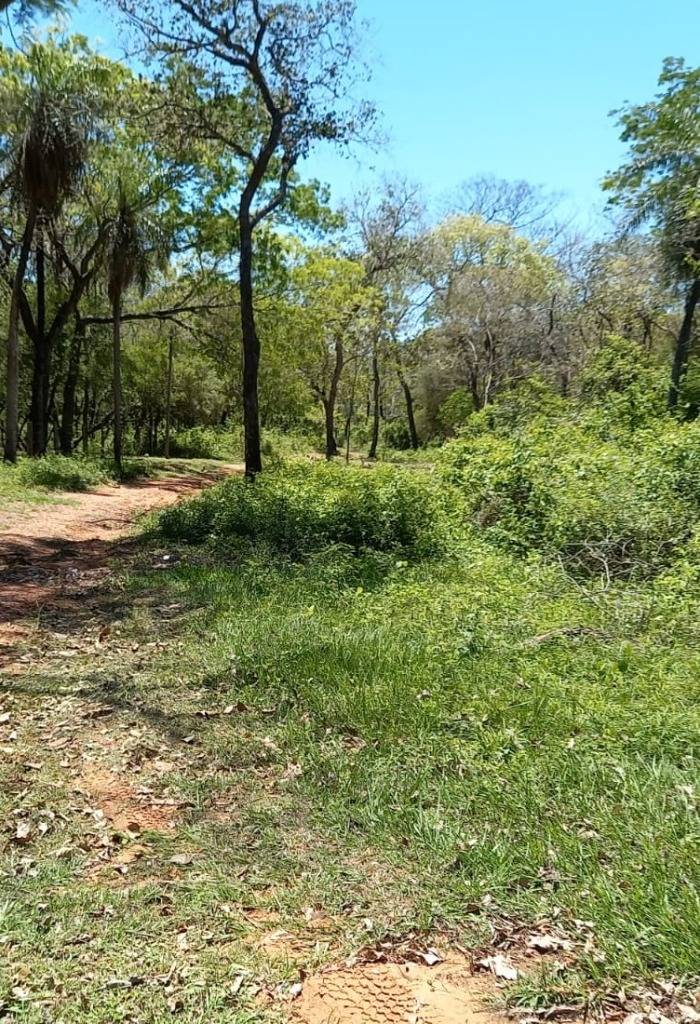 vendo Hermoso Lote en CIERVO KUA - San Bernardino — foto 3