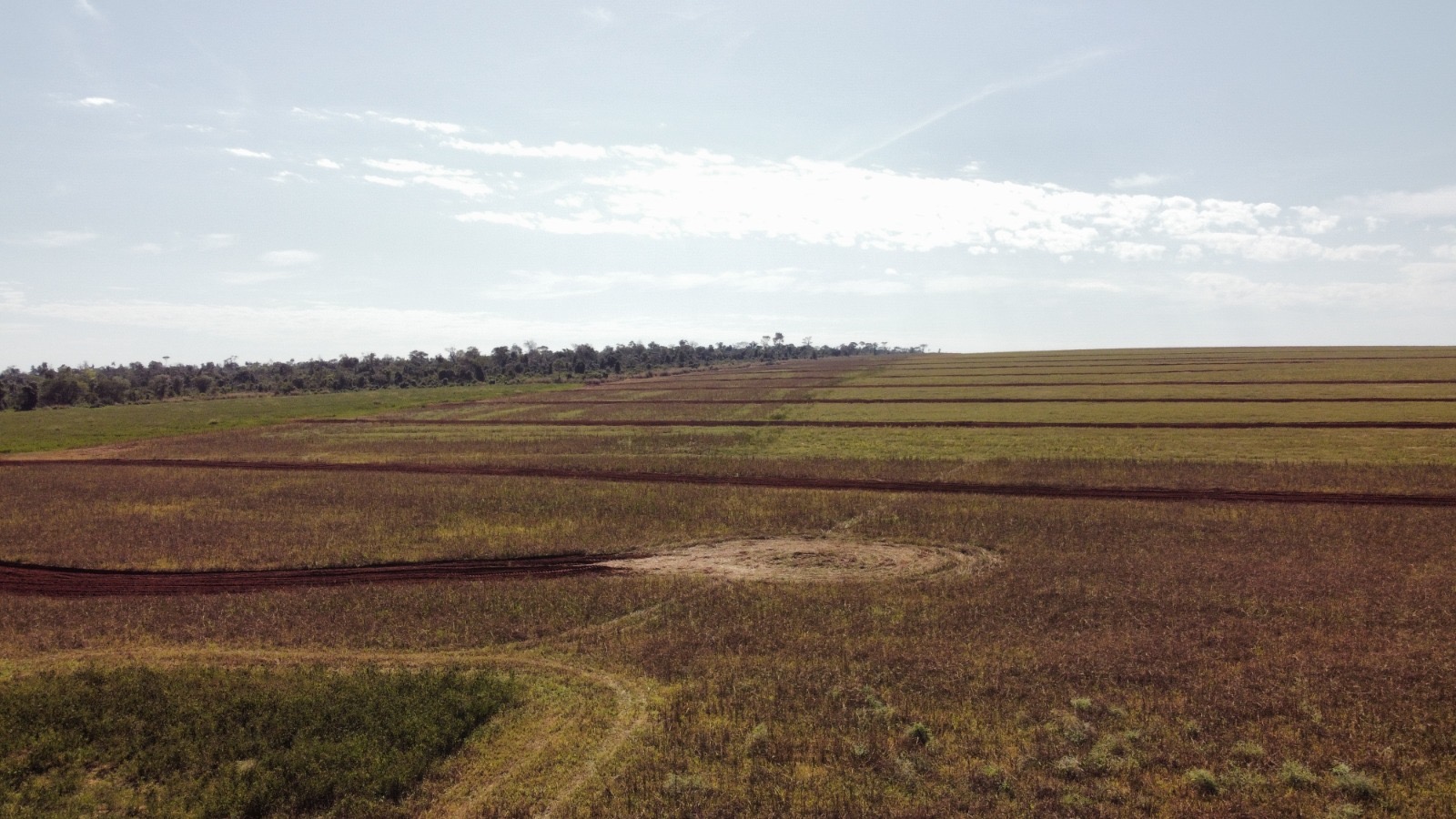 VENDO MIL HECTAREAS EN CURUGUATY — foto 2