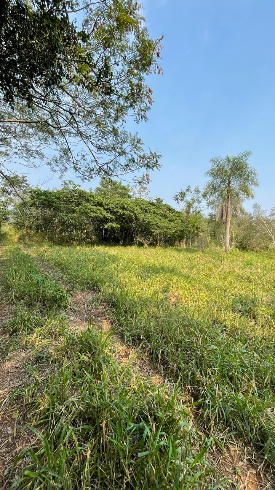 Vendo 5 hectáreas en Arroyos y Esteros Zona San Antonio A 3 km de ruta 3 — foto 2