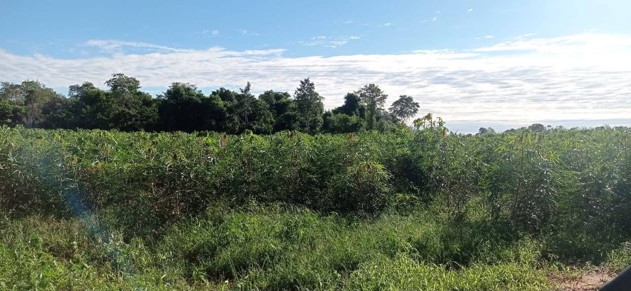 CAAGUAZU - YHU, EN VENTA GRANJA, DE 10 HECTÁREAS — foto 2