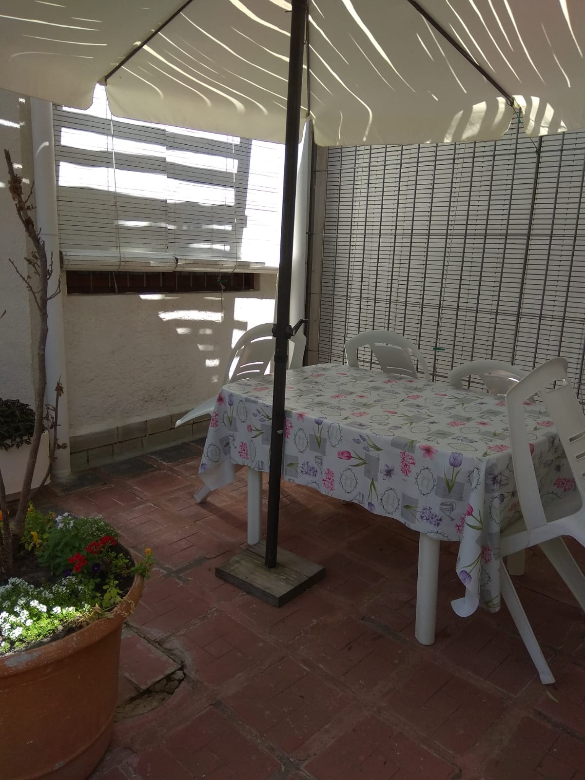 Apartamento alquiler anual San Luis · Foto 5