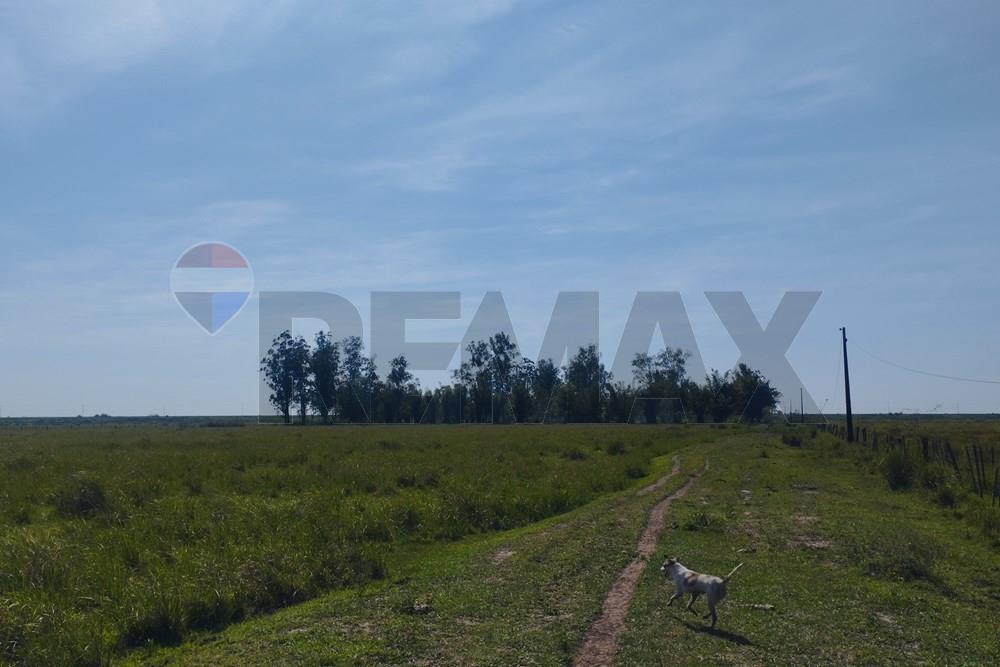 VENDO 20 HECTAREAS EN ARROYOS Y ESTEROS — foto 2