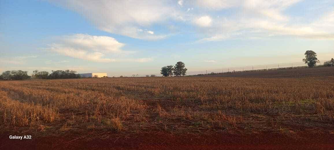 LOTE EN VENTA EN HERNANDARIAS — foto 2