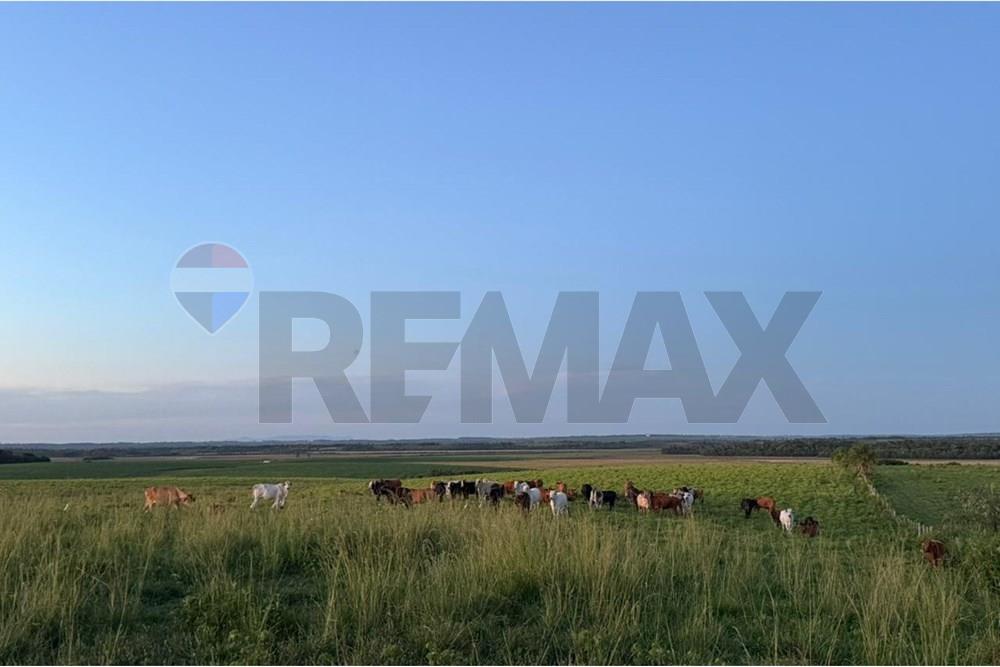 ESTANCIA DE ALTO RENDIMIENTO EN VENTA – 2.233 HECTÁREAS EN CAAZAPÁ — foto 2