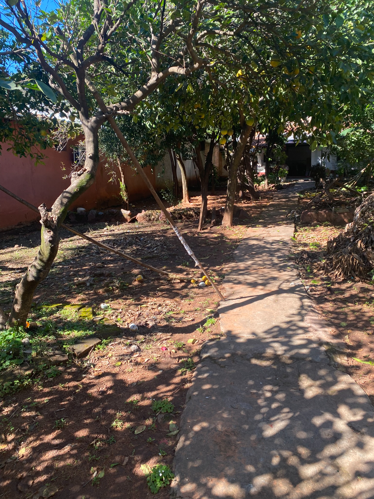 Asunción: amplio terreno arbolado de 15,27 m. x 37,50m. — foto 3