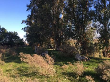 Venta De Chacra En Barrancas !!!
